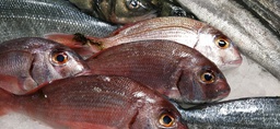 PARGO